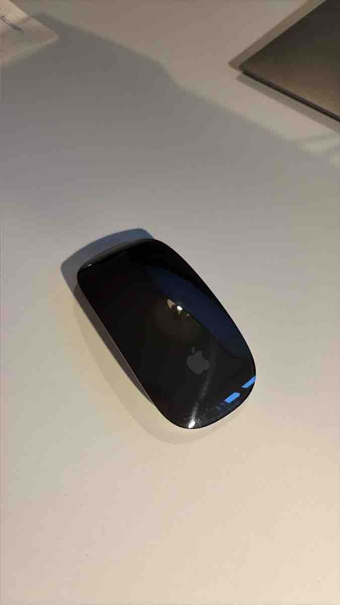 Apple Mouse: Apple Magic Mouse kabellose Maus neuwertig – Nuovo (secondo la descrizione) da Olten venduto da kil_dxk7 1