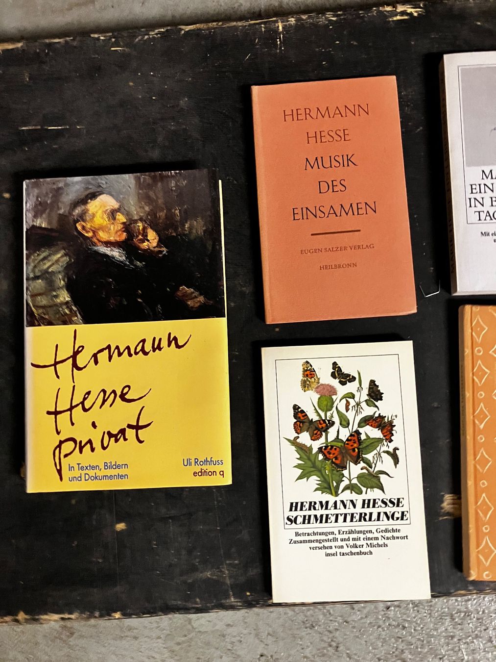 Libri: Bücher über H.Hesse – Usato da Zürich venduto da Ideal0 1
