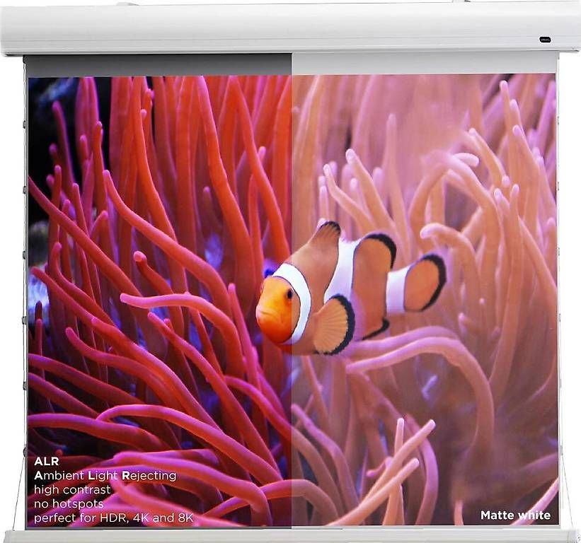 Altri Accessori: Écran de projection ALR 135" – Nuovo e nell'imballaggio originale da Les Bioux venduto da ant_t8nn 4