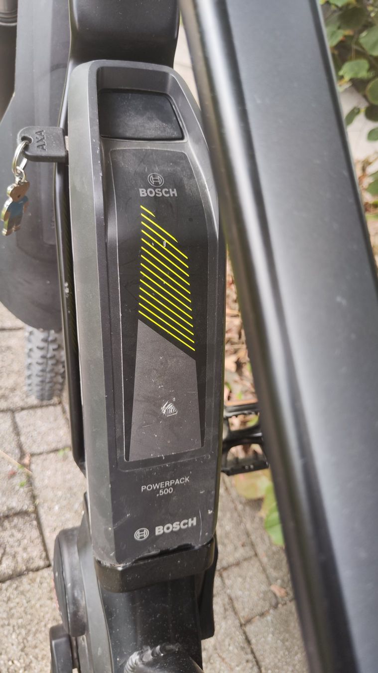 Crosswave Biciclette: E-Mountenbike – Usato da Liestal venduto da Teggenau 4