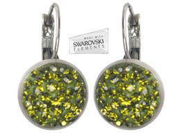 Ohrring  mit Swarovski Crystal / 31 Farben