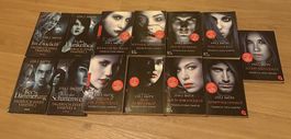 Alle 13 Bücher Vampire Diaries/ Tagebuch eines Vampirs