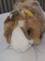 Steiff Meerschweinchen sucht neues Zuhause