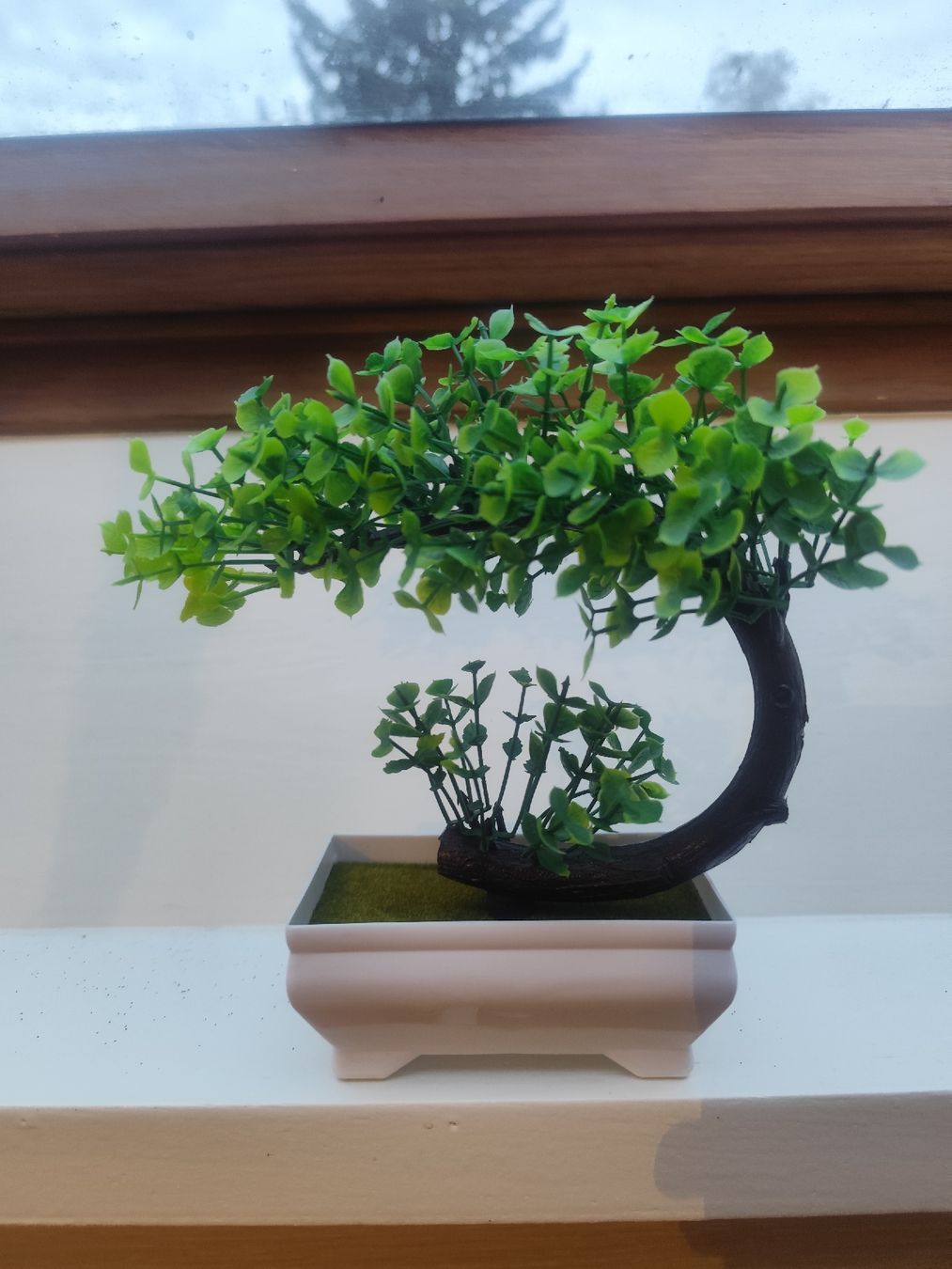Tutte le decorazioni: Deko Bonsai ca 20cm hoch – Nuovo (secondo la descrizione) da Magden venduto da Fimo29
