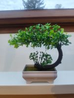 Deko Bonsai ca 20cm hoch
