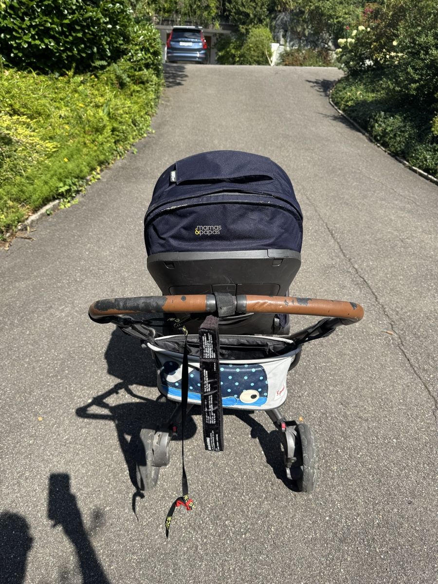Carrozzine: Kinderwagen Mammas & Pappas – Usato da Zürich venduto da wamat01 2