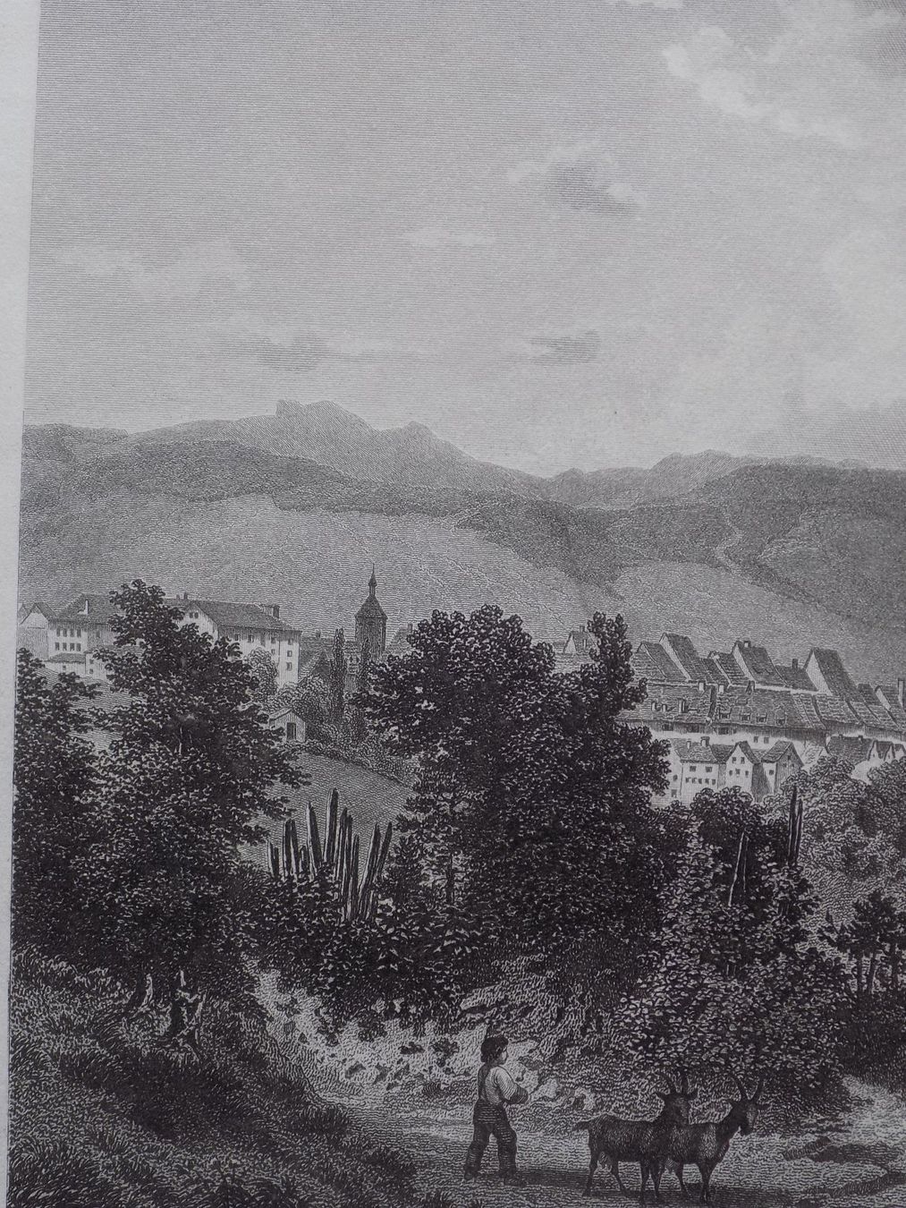 Stiche: Liestal Stahlstich – Gebraucht aus Risch von Rischli15 3