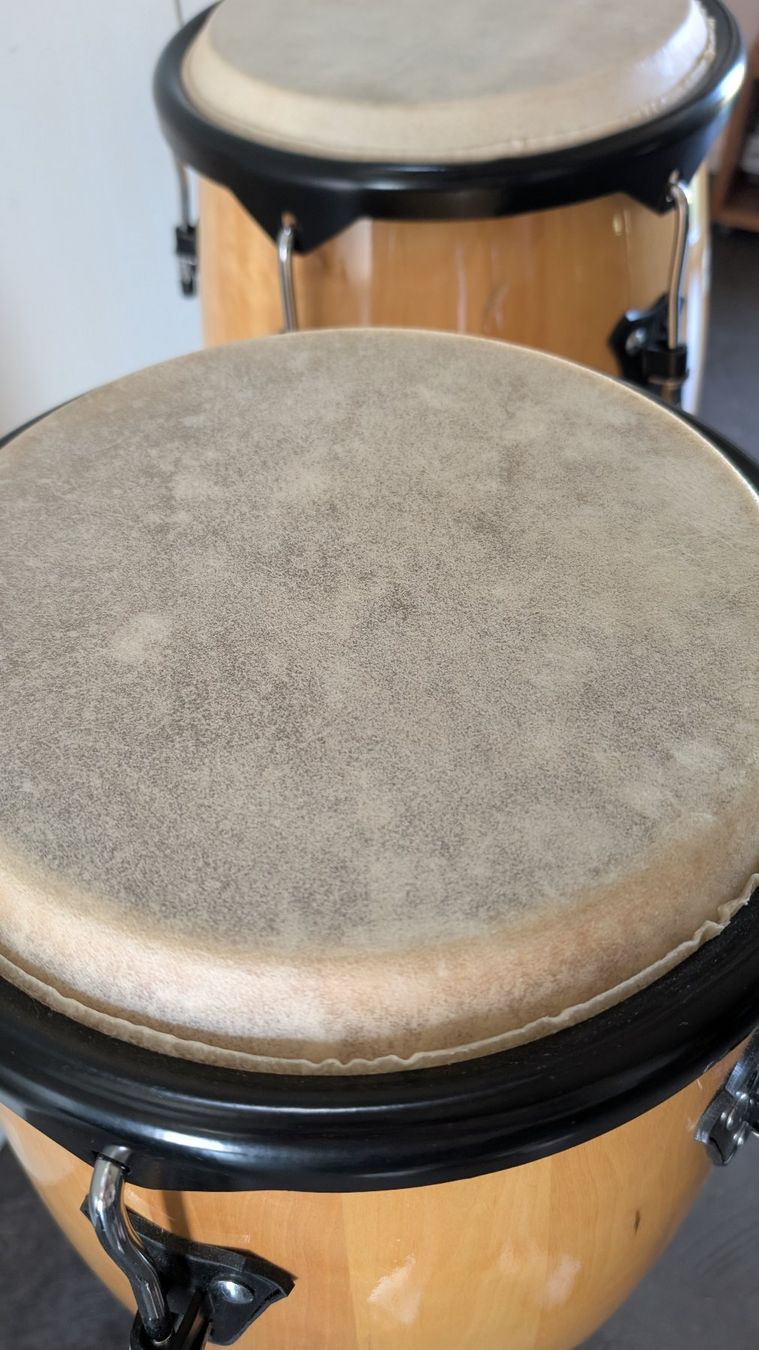 Instruments de musique: Paire de Congas Millenium + Pieds + Housses de transport – D'occasion à Bofflens par bey_27x9 2
