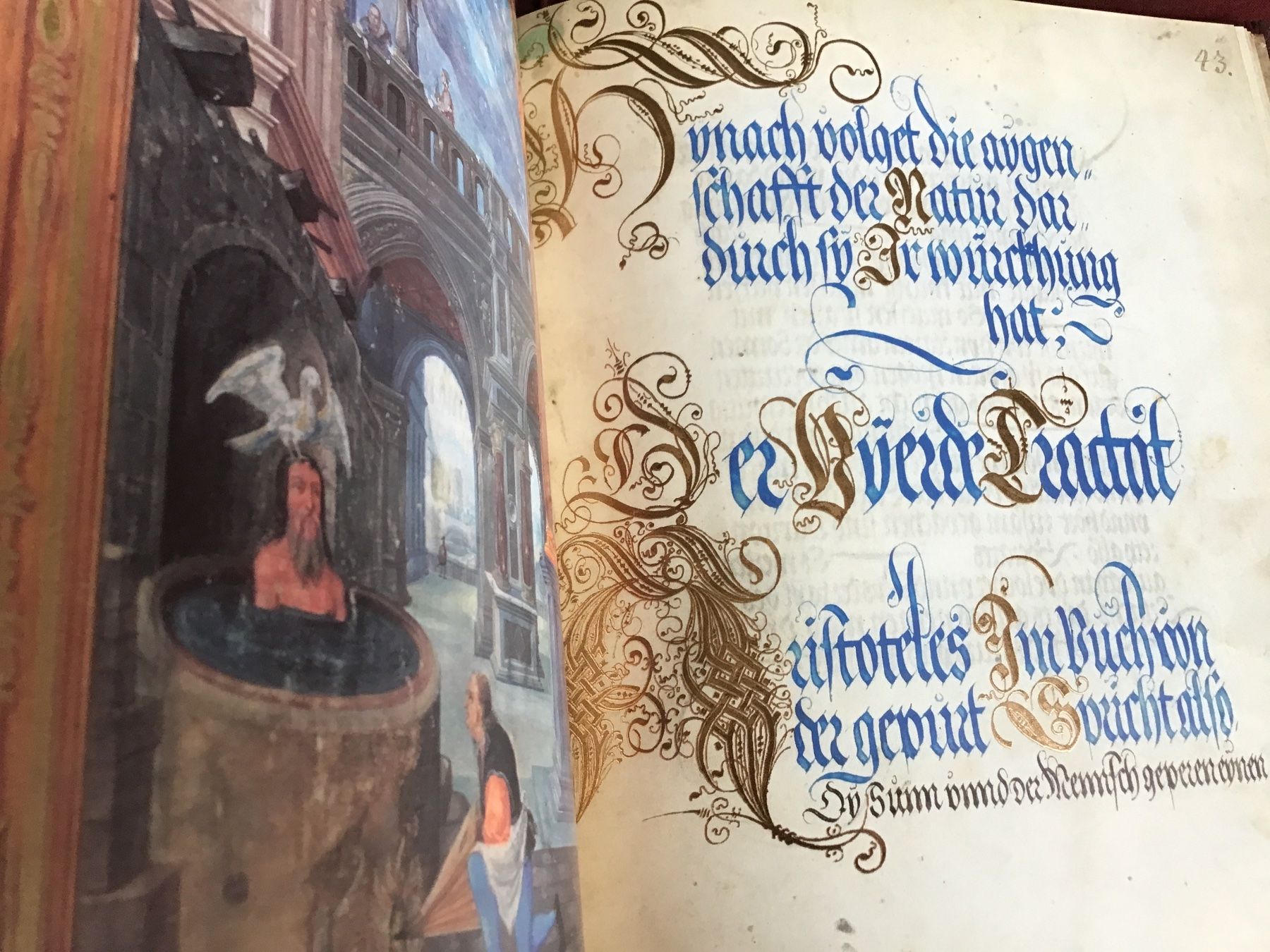 Libri: Splendor Solis EX 476  Richard Mayer Buchbinderei – Nuovo (secondo la descrizione) da Kirchenthurnen venduto da Gluecksbrief 4