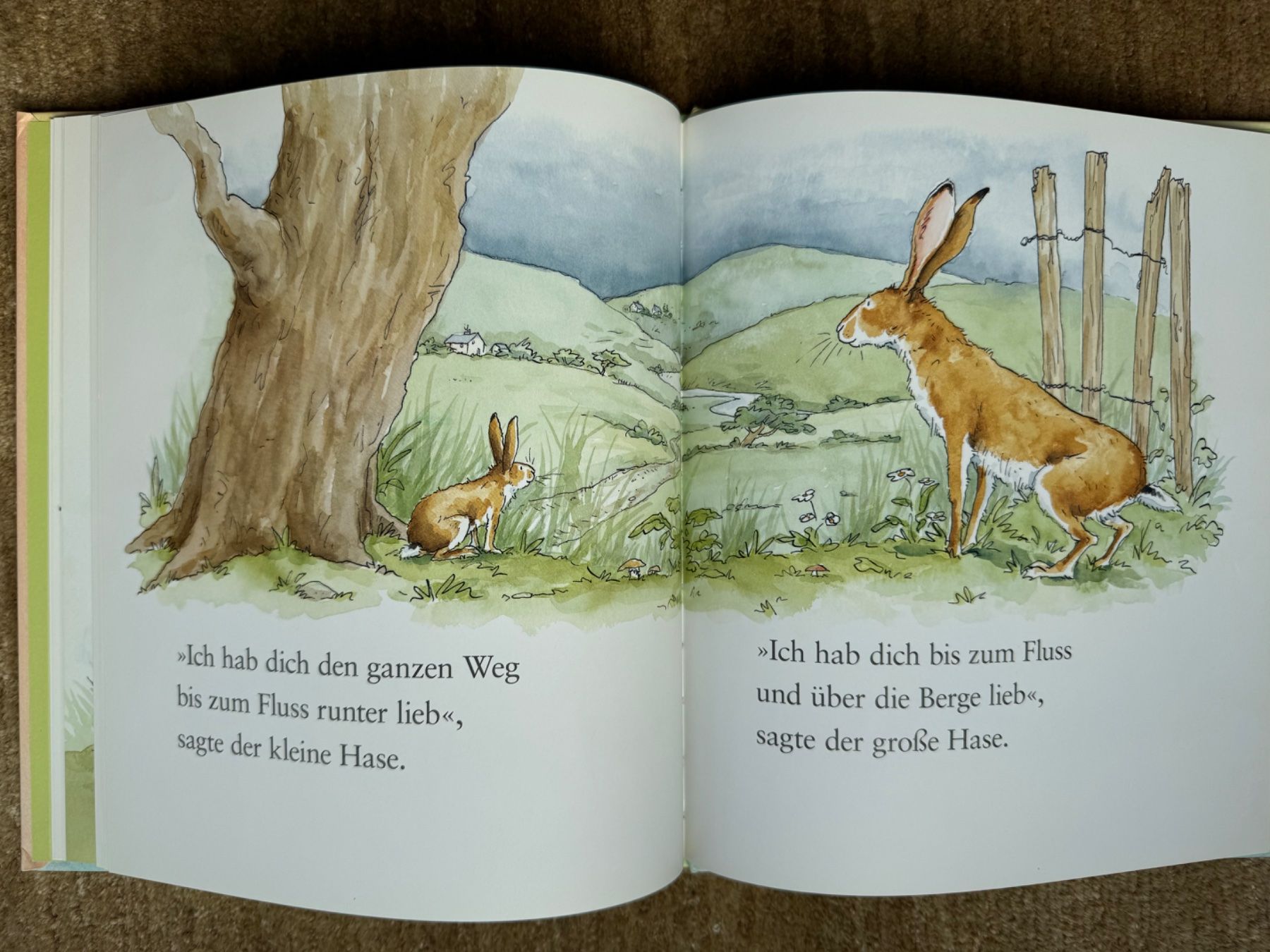 Libri: Weisst du eigentlich, wie lieb ich dich hab?? – Usato da Aarau venduto da Kilauea 7