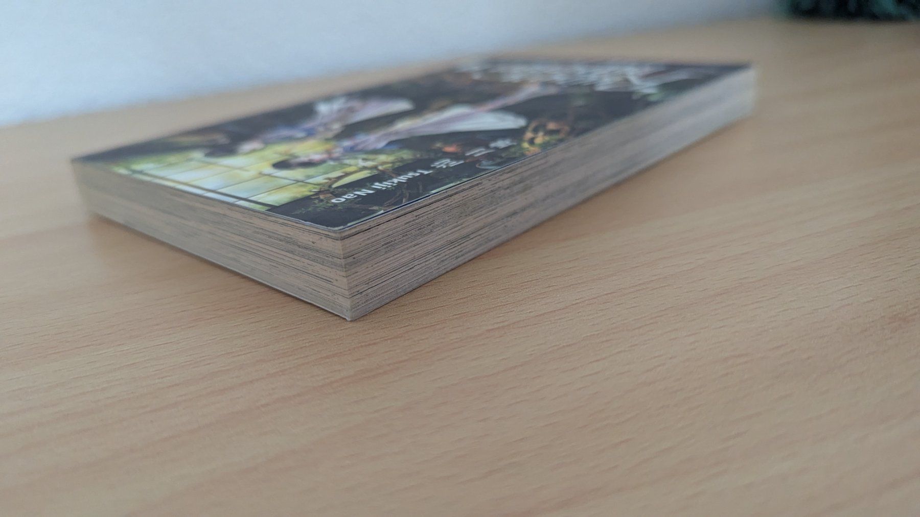 Comics: Ruinenmärchen – Gebraucht aus Rudolfstetten von Unaaffchen 2