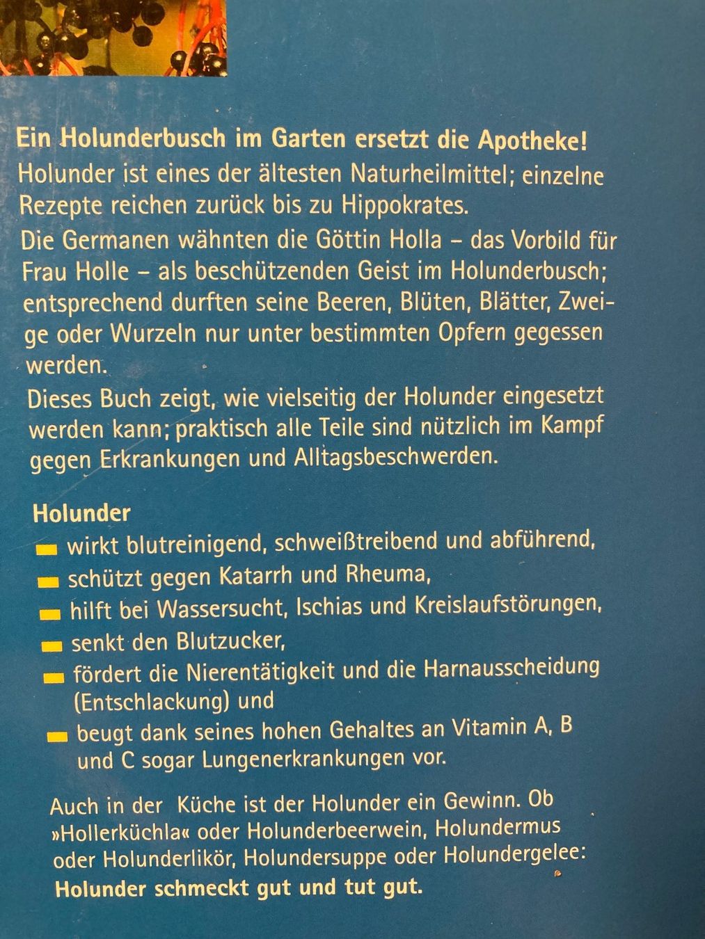 Livres: Natürlich gesund mit Holunder – D'occasion à Baden par Yoyo1 1