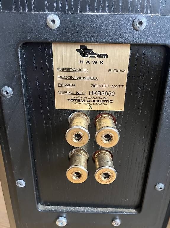 Haut-parleurs: Enceintes audiophiles "Totem Acoustics" Hawk – D'occasion à Wattenwil par olivierjeannin 1