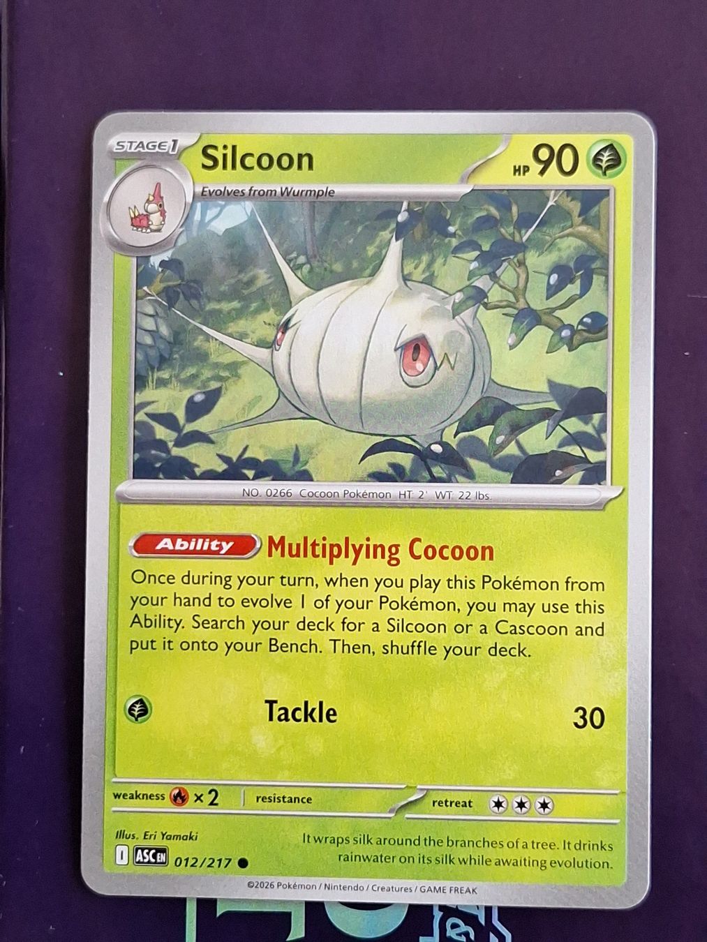 Pokémon Carte collezionabili: Silcoon - Pokemon Ascended Heroes – Usato da Altstätten SG venduto da GGsGameshop