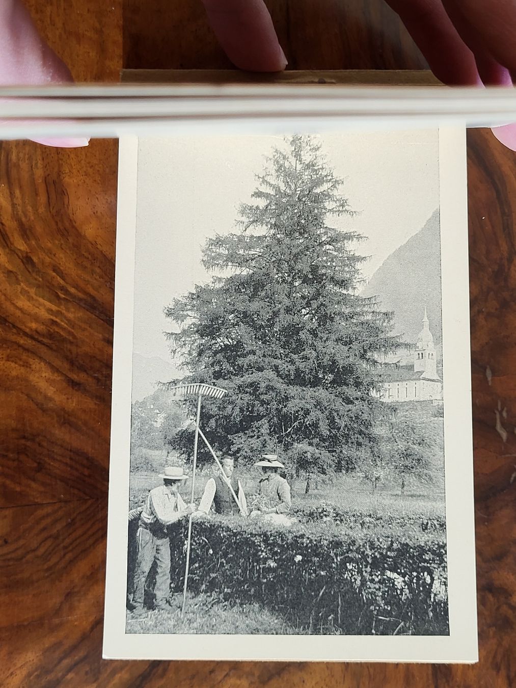 Cartoline postali: Alte Ansichtskarten von Buochs am Vierwaldstättersee! – Nuovo (secondo la descrizione) da Allschwil venduto da Uhrenbinz 4