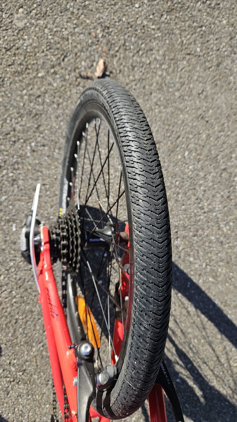 MTB Cycletech Biciclette: Cooles Kinderfahrrad 20 Zoll, MTB Cycletechl, rot – Usato da Abtwil SG venduto da Realsale 2