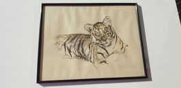 Fritz Hug Lithographie Tiger
