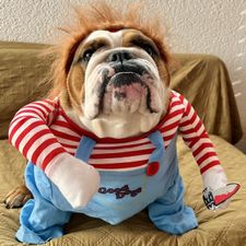 Profile image of Betta.Polpygmail.com