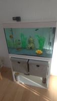 Askoll Pure XL Aquarium 94L mit Unterschrank inkl. Zubehör