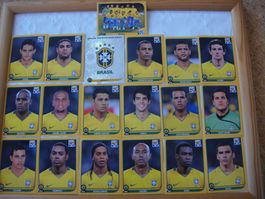 Coupe du Monde de Football Afrique du Sud 2010    (Brasil )