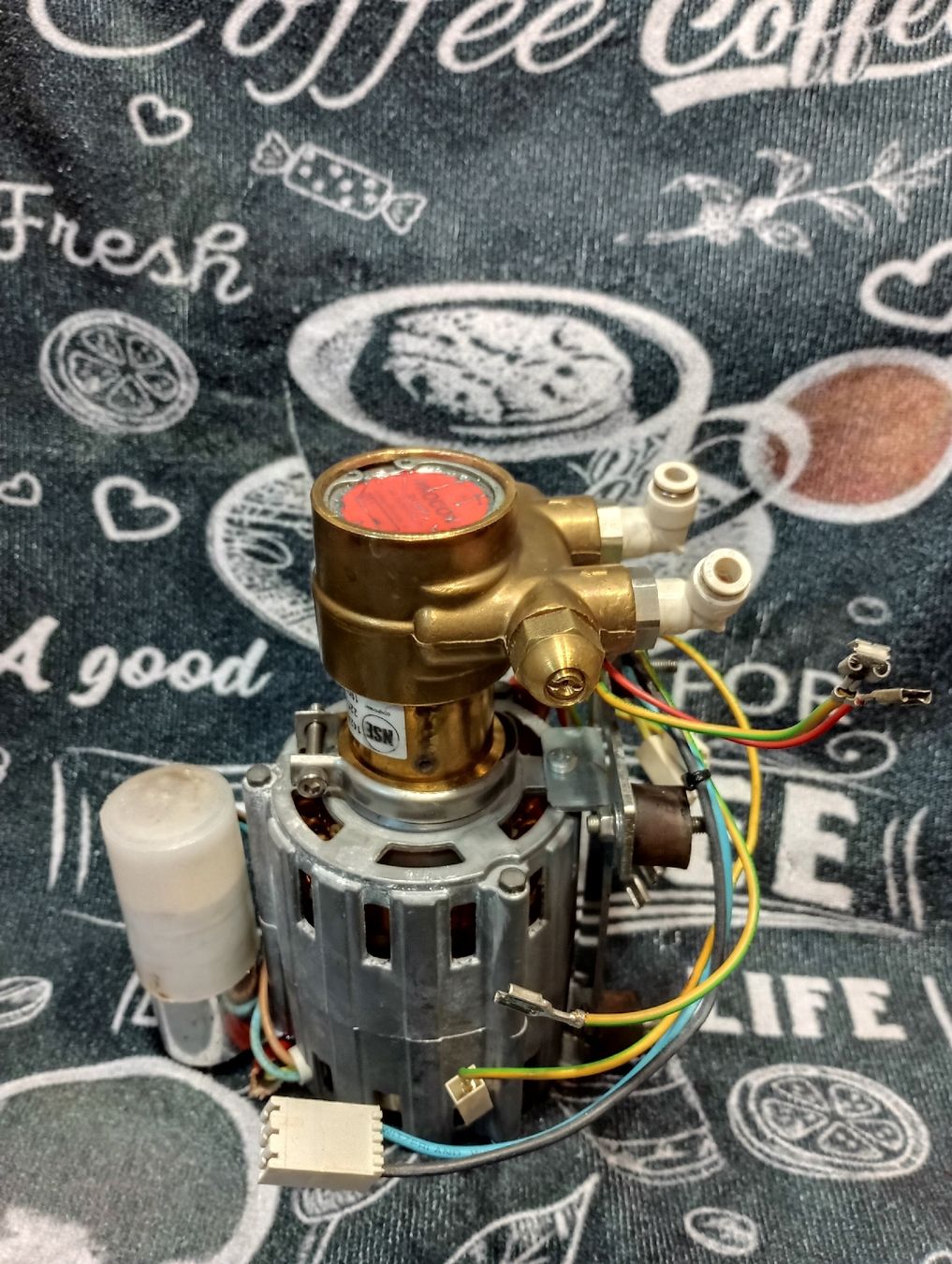 Pompe & Parti di ricambio: Melitta Bar Cube Kaffeevollautomat, Ersatzteil WASSERPUMPE – Usato da Oensingen venduto da Sip77 1