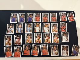 2026 Panini WM Coca Cola Sticker 30 Stück