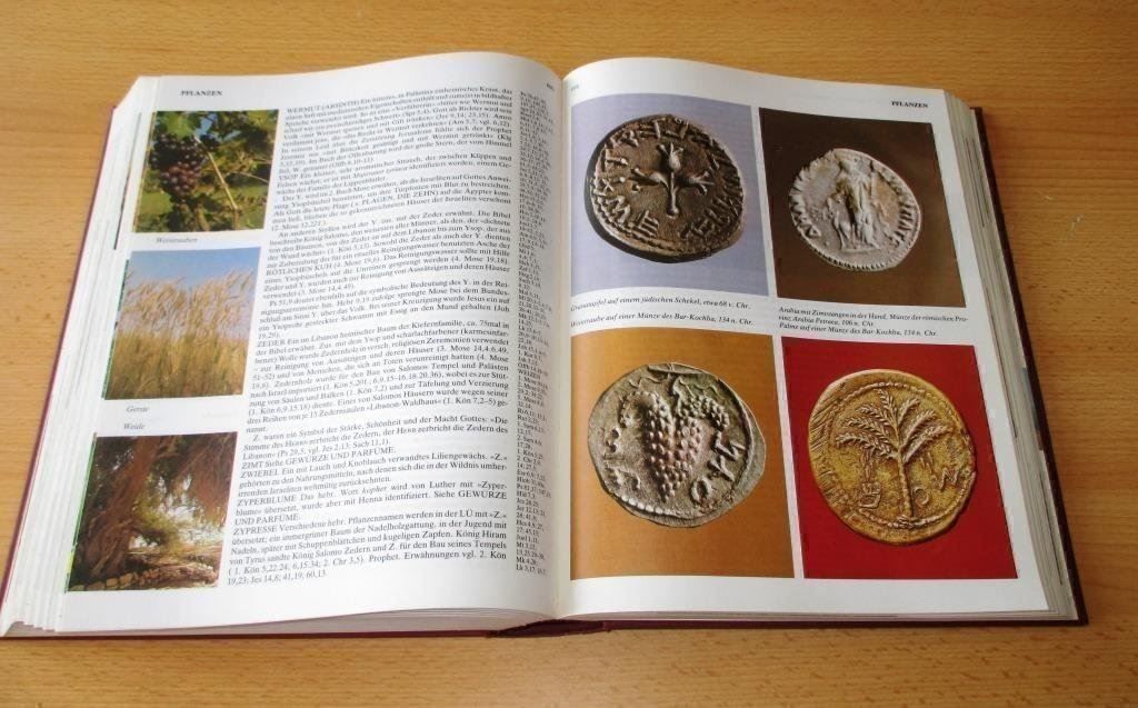Libri: Jerusalemer Bibel-Lexikon von Kurt Hennig – Usato da Flims - Dorf venduto da Stagediver 6