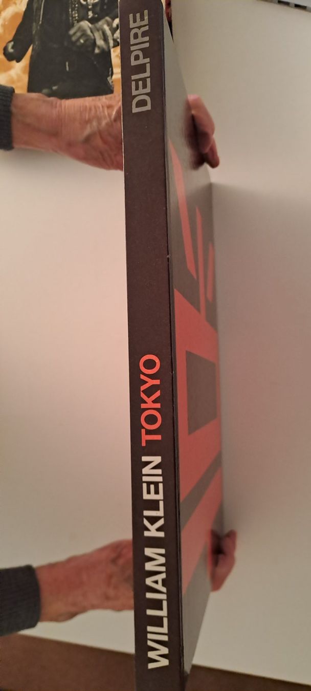 Libri: Kunstbuch-Sammlung: "Gesichter Chinas", "Tokyo", "Indios" – Usato da Zürich venduto da Michel1896 2