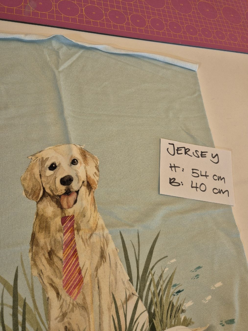 Tissus: Jersey Stoff Panel Golden Retriever – Neuf (Voir description) à Wynigen par La_Talpa 1