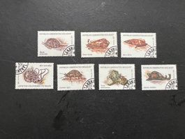 Madagaskar 1993 Schnecken Serie gestempelt (E195)