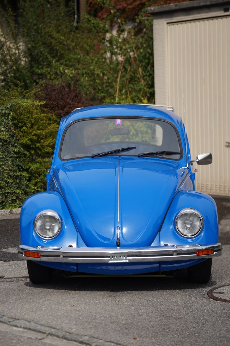 VW Automobili: VW Käfer 11-1200 – Usato da Thun venduto da Phippu2001 2