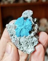 Cavansite sur matrice – superbe rosette bleu turquoise