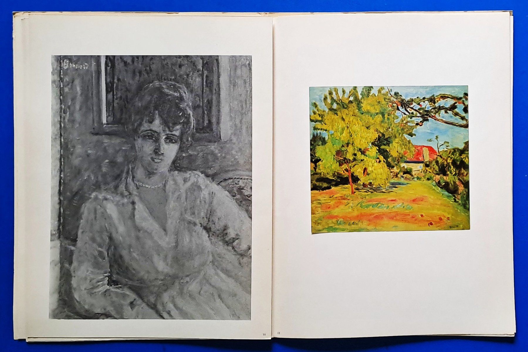 Libri: BONNARD  vollständiges Ex. SUITES No. 23 EA 1969 – Usato da Zürich venduto da archiphil 6
