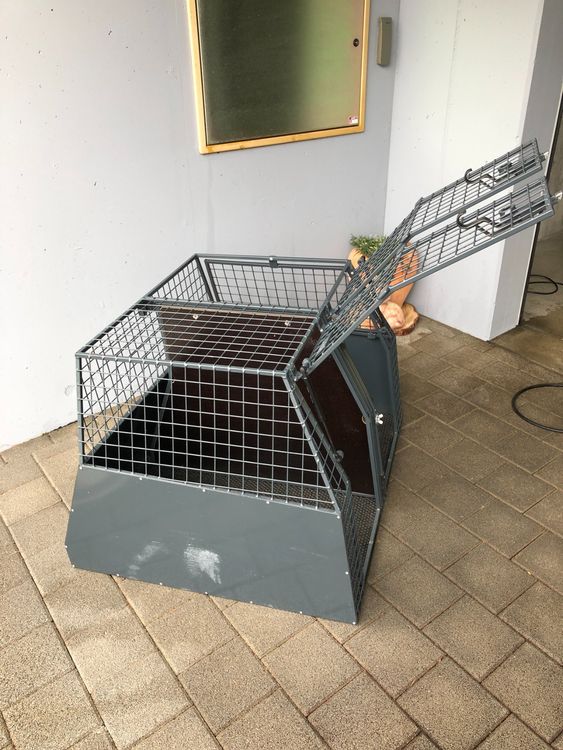 Metall-Hundebox Mit 2 Türen Und Herausnehmbarer Schale