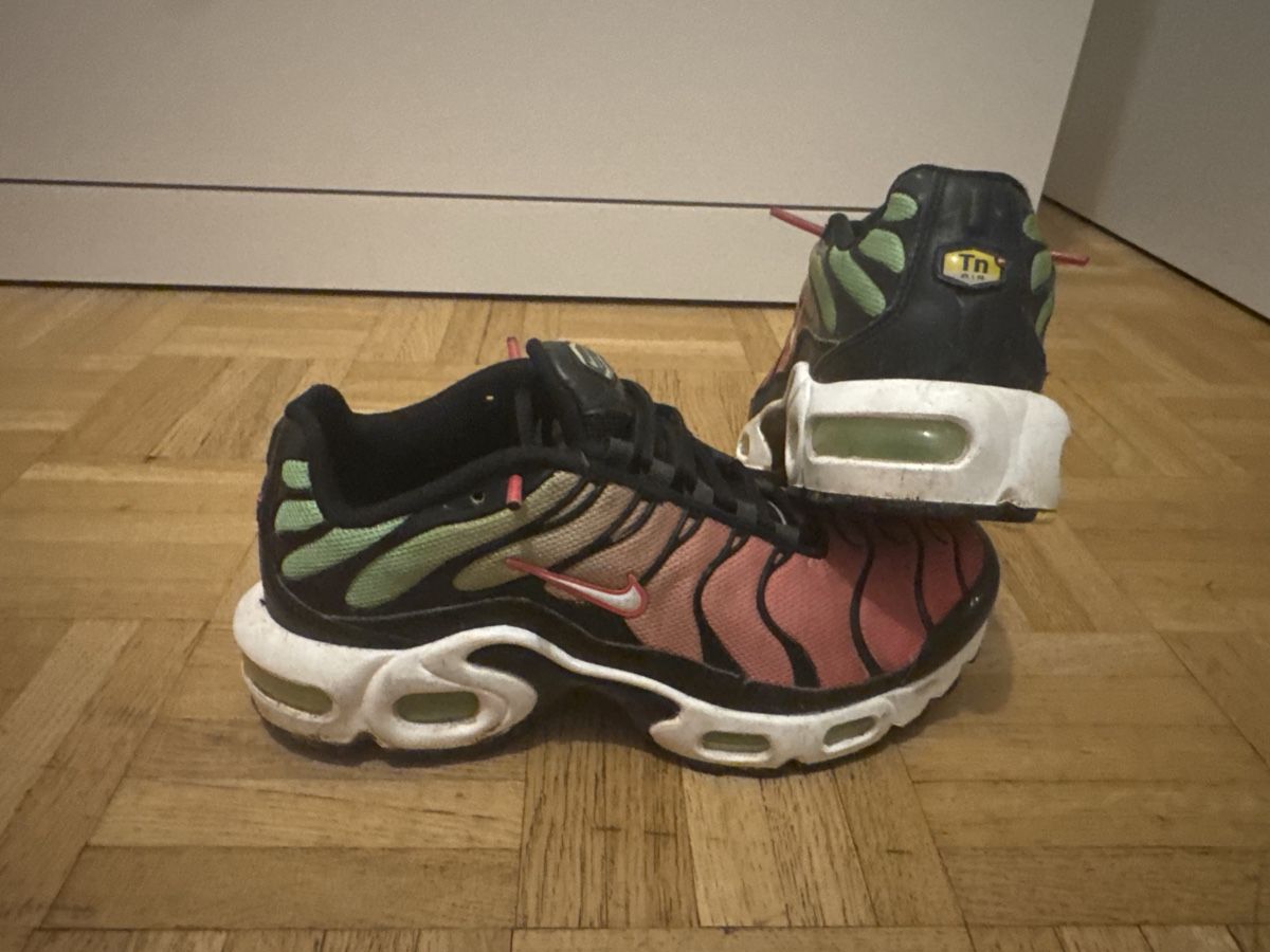 Scarpe da uomo: Nike air TN 36.5 – Usato da Grand-Lancy venduto da mat_l672 2