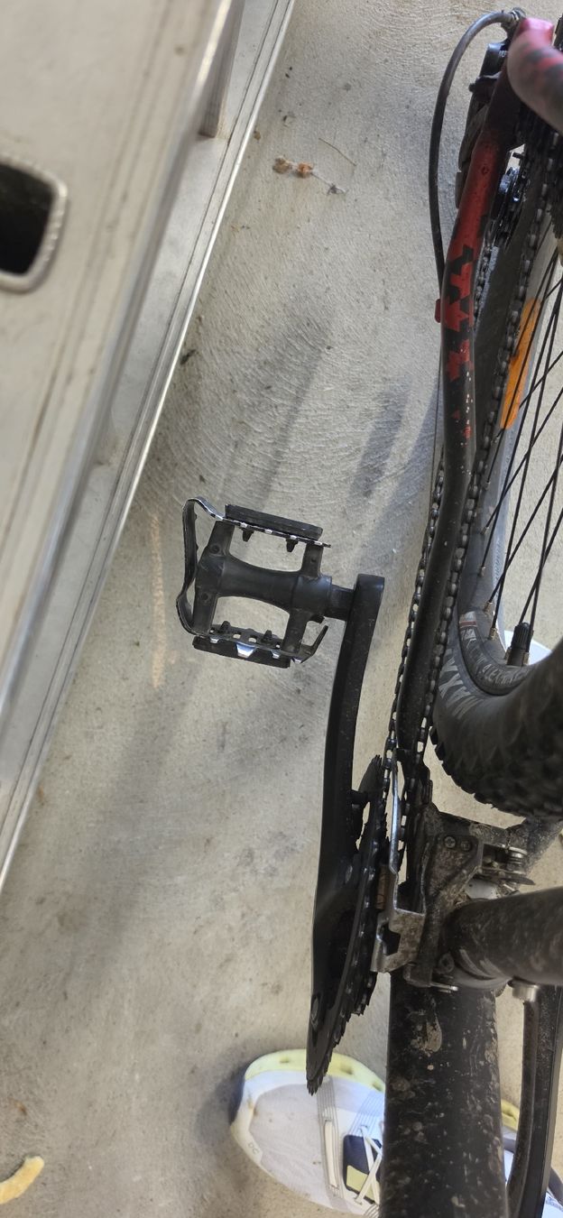 Muddyfox Biciclette: Muddyfox Fahrrad Velo – Usato da Othmarsingen venduto da muc_clv6 4