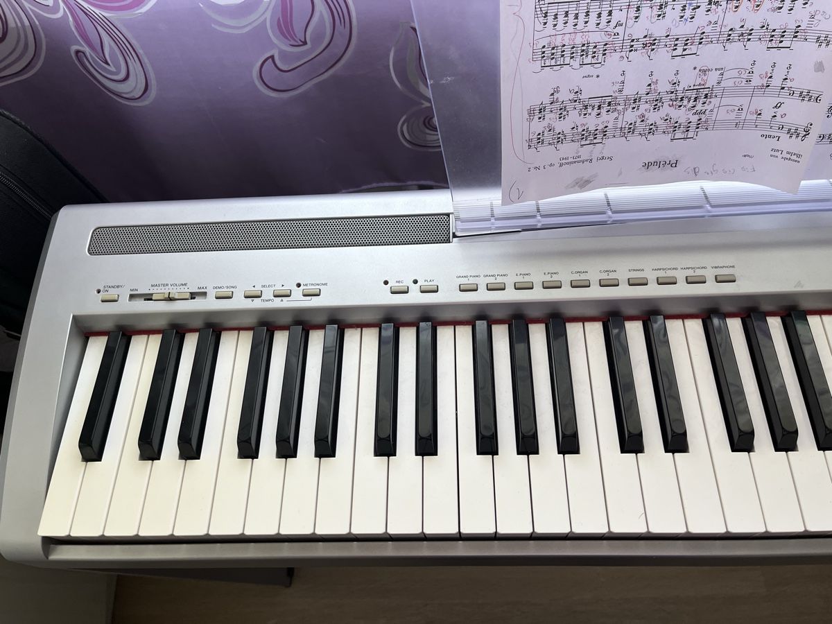 Yamaha Strumenti musicali: Yamaha Piano P-85 – Usato da Rothenburg venduto da sla_rn6q 6