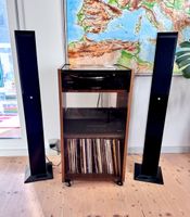 Audio Pro Image 40 Standlautsprecher - Sehr guter Zustand
