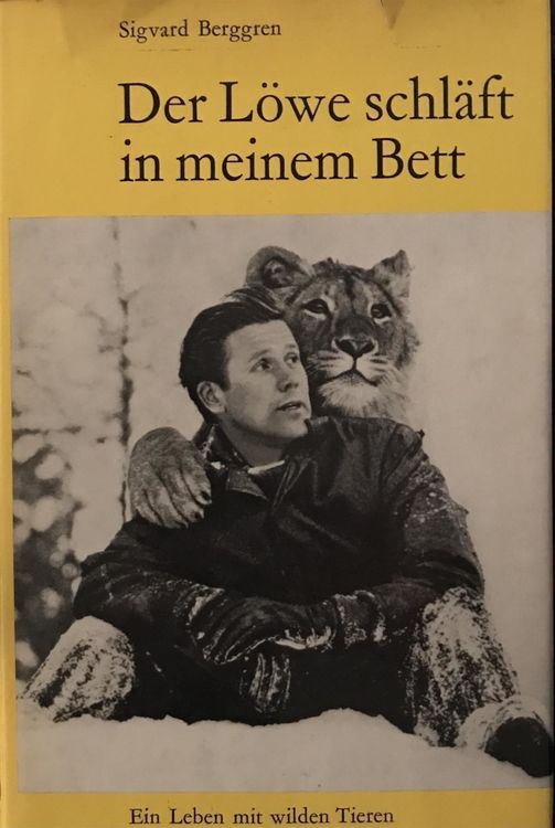 Lowe Und Lowe Im Bett