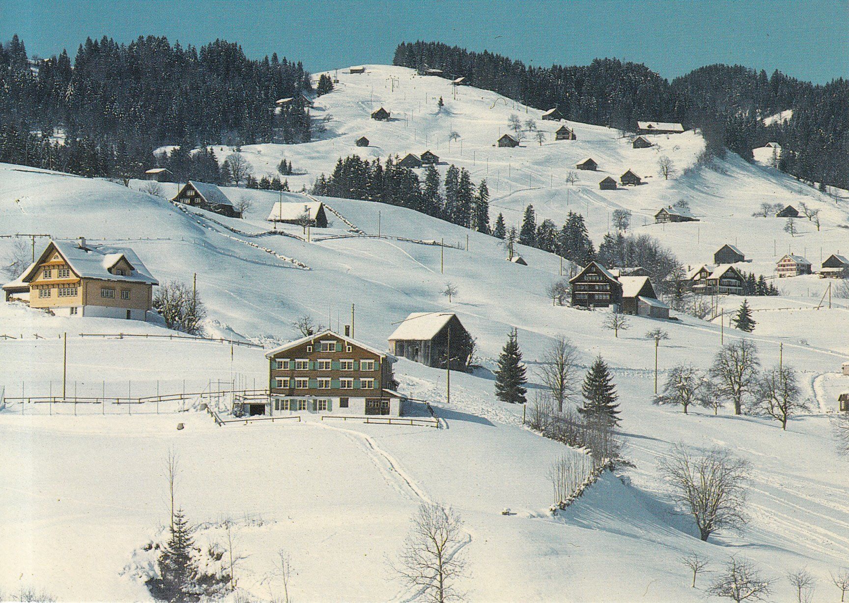 Cartoline postali: Nesslau Holzegg 1993 – Usato da Bürglen TG venduto da StampGraf