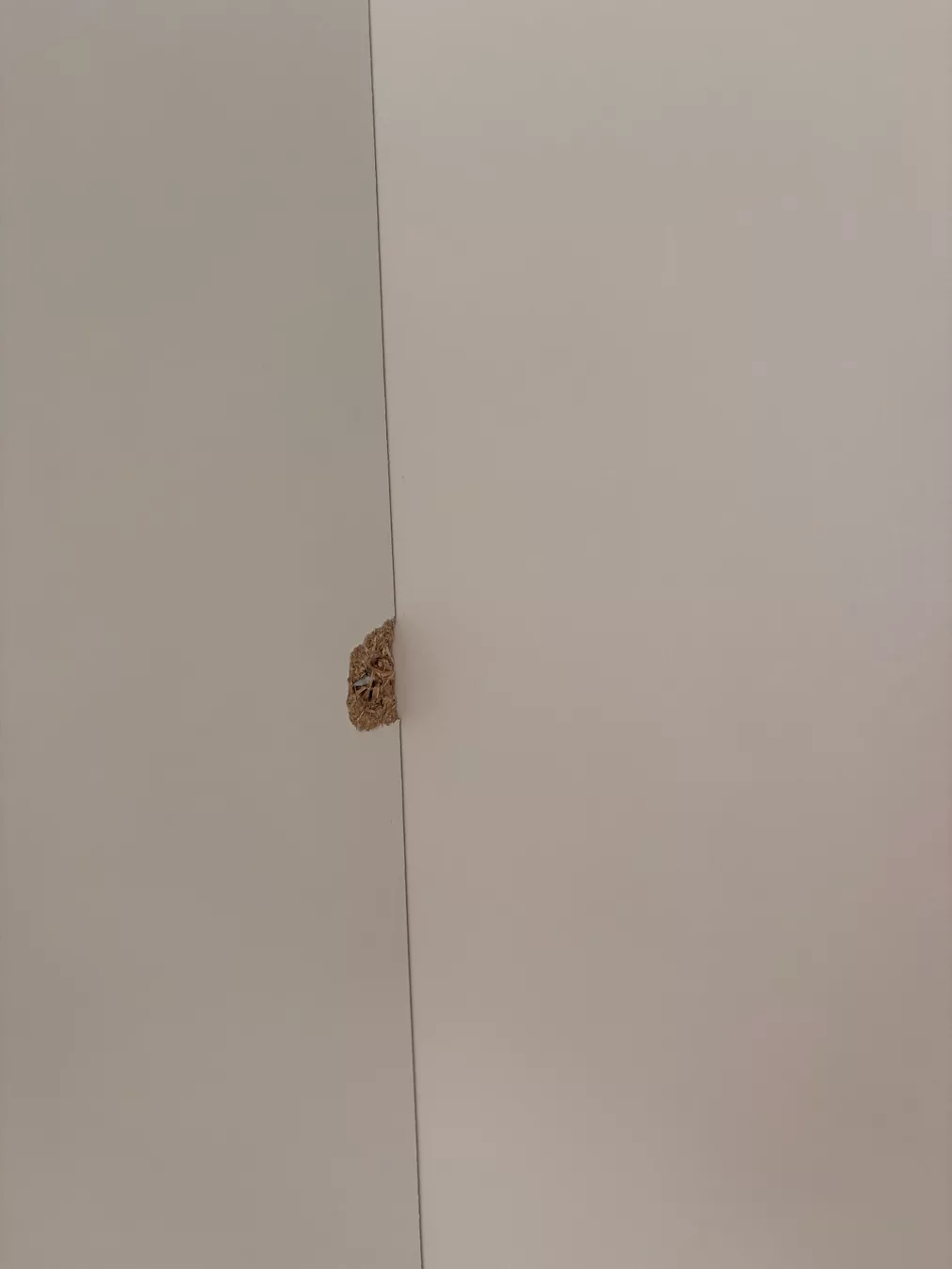 Ikea Armadi: Ikea Kleppstad 2 Türe – Usato da Bern venduto da ann_d62k 6