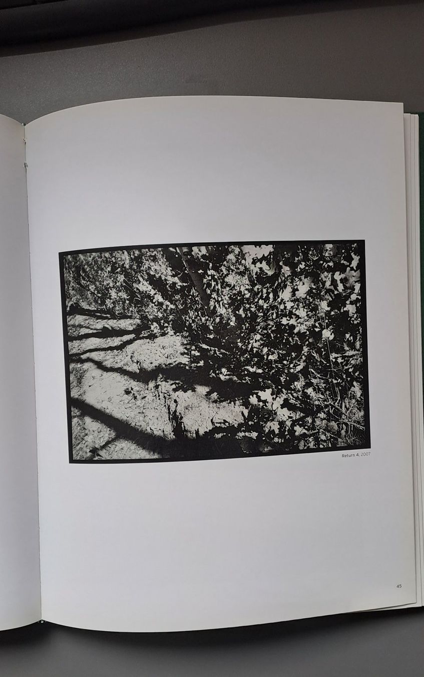 Libri: SKOVBO - Viggo Mortensen – Usato da Zürich venduto da ZuercherBrockenhaus 2