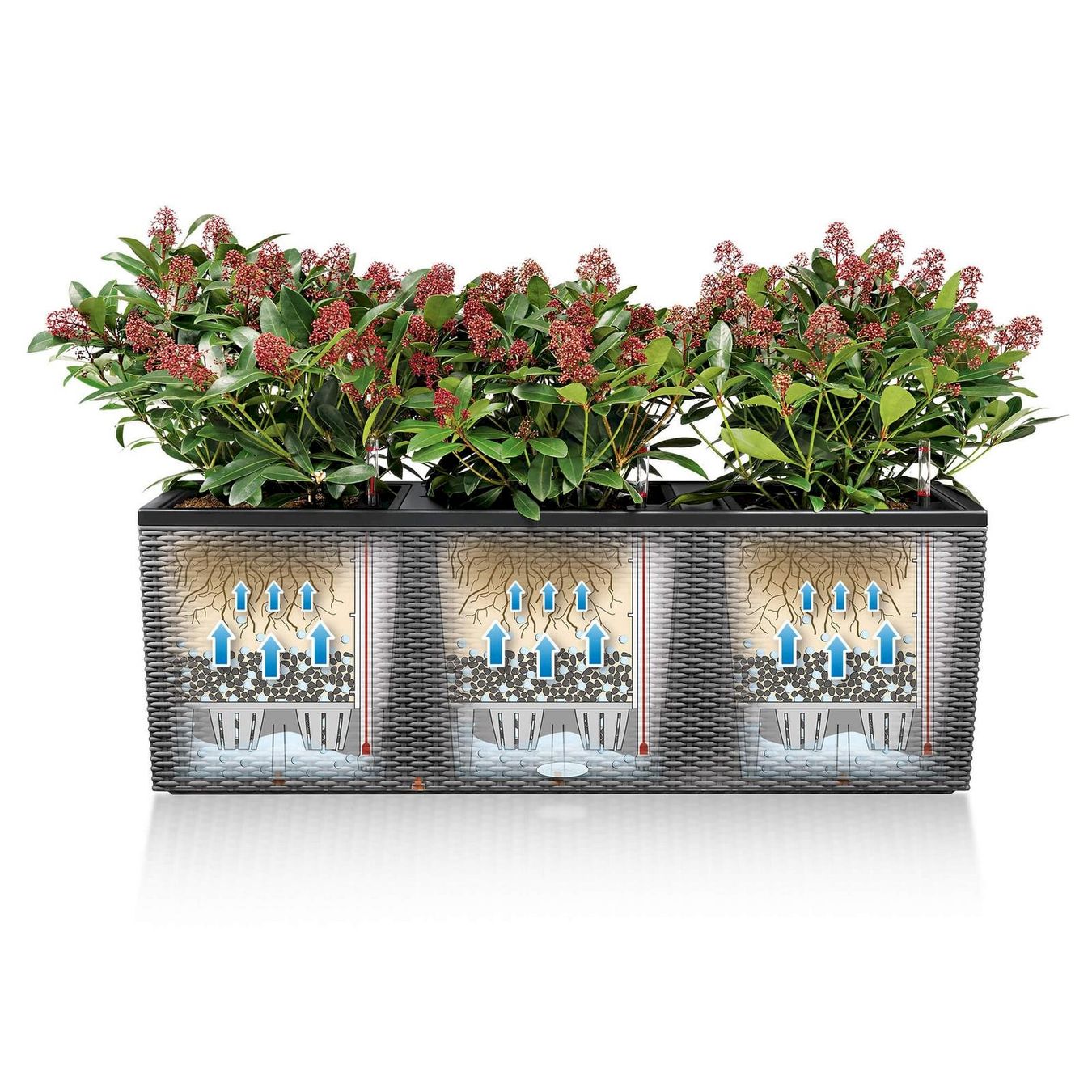 Lechuza Pots de fleurs: Lechuza TRIO Cottage 40 graphitschwarz – Neuf avec emballage d'origine à Bottighofen par zaap 5