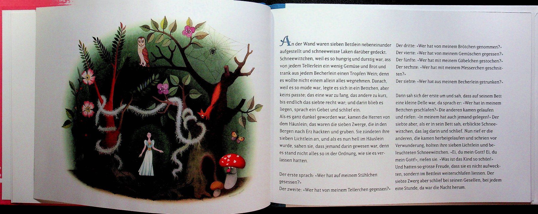 Libri: Brüder Grimm: Schneewittchen Bilder Herbert Leupin – Usato da Reitnau venduto da Zaomir 4