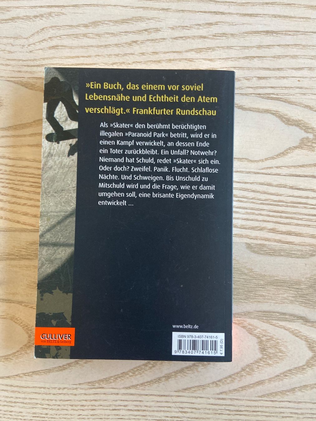 Blake Nelson Paranoid Park Jugendbuch Top Zustand! (Gebraucht) in