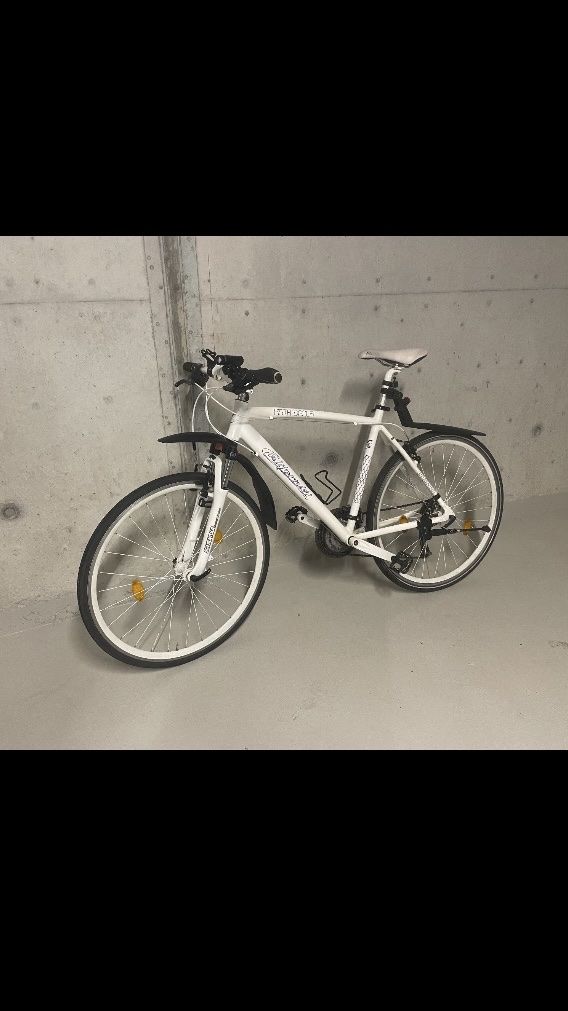 Biciclette: Citybike – Usato da Windisch venduto da sri_lk9d
