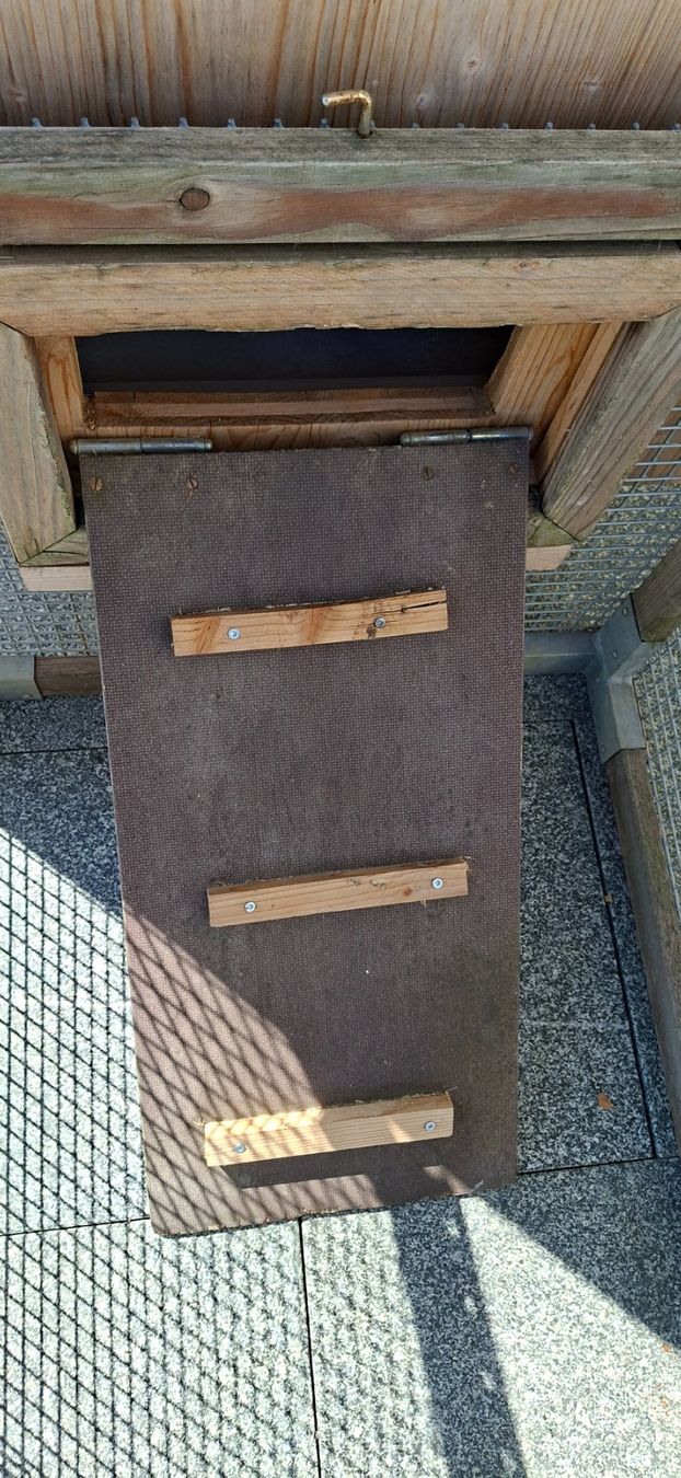 Gabbie, trasporto & Sicurezza: Hasen - Zwerghasenstall. – Usato da Jona venduto da wini013 9