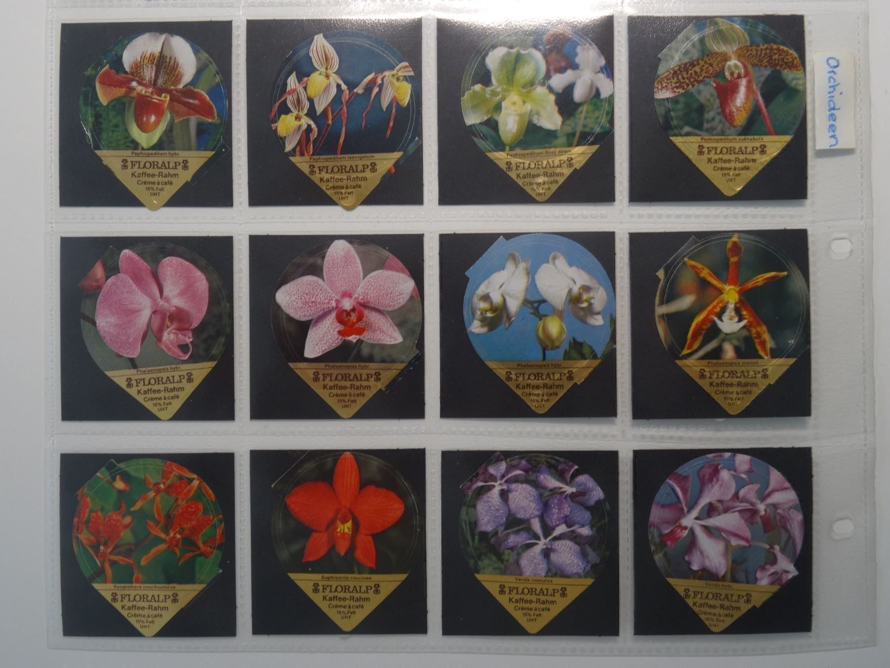 Coperchi dei cremini per caffè: KRD Orchideen 1981  18A – Usato da Hochdorf venduto da Teger02 3
