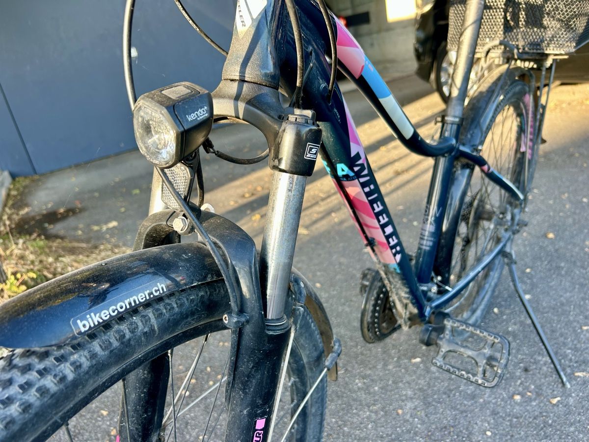 Wheeler Biciclette: Wheeler Damen Velo – Usato da Wettingen venduto da elisabetha06 5
