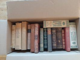 Bücherkiste Jahrhundertwende 1881-1943  15 Bücher